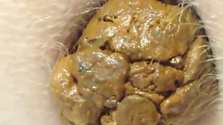 Heavy turd from big ass