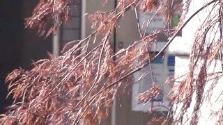 Japanese chick pissing and pooping in the cold day