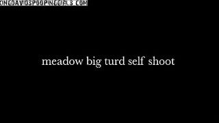 Sexy girl toilet shit