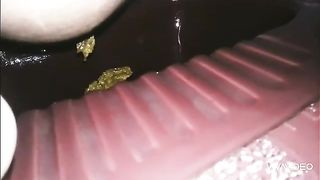 Asian babe pooping in the toilet