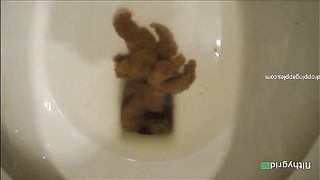 Thick shitter in the toilet