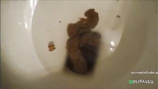 Thick shitter in the toilet