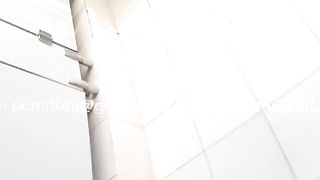 Hairy Asian chick caught pissing through hidden cam