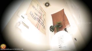 Watch hot hairy chick pooping in the toilet