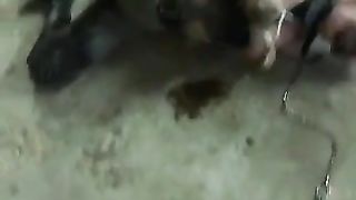 Female slave gets to eat her own shit