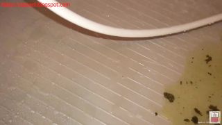 Lovely Japanese chicks pooping nicely