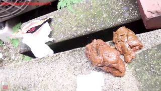 Lovely Japanese chicks pooping nicely
