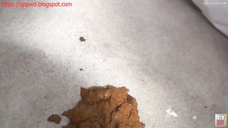 Watch how sexy Japanese chick pooping
