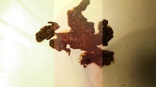 Mid-day menstrual poop