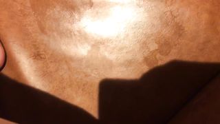 Pooping on the hotel sofa