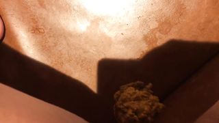 Pooping on the hotel sofa