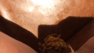 Pooping on the hotel sofa