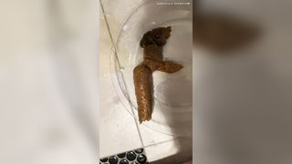 Pawg poops on plate