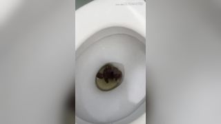 Ebony milf showing her fresh shit in the toilet
