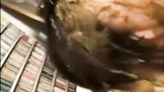 Japanese chick eating shit and cum