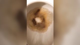 Bbw finally releases in the toilet bowl