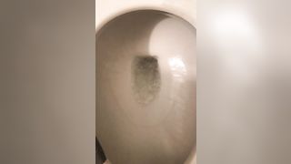 Bbw finally releases in the toilet bowl