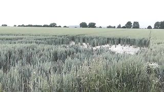 Blonde emptying her bowels in nature