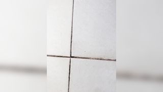 Big ass brunette diarrhea in the morning