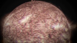 Eating her own tasty fresh waste