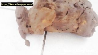 Ass that loves pooping