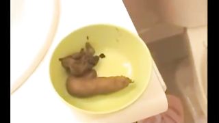 Naked Lesbian Girlfriends Play With Poop