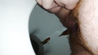 Chubby hairy milf pooping in toilet