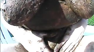 Massive shit on big boobs babe