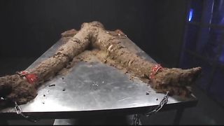 Japanese slave gets shit covered in gangbang