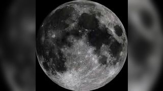 Naughty babe in pink panty pooping