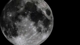 Sweet shit eating brunette chick