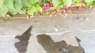 Bare Feet get Soaked in Fresh Pee Puddle