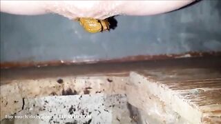 Cute girl shitting in a dirty toilet