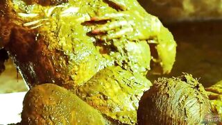 Betty and Fran smearing hot sex in Manure