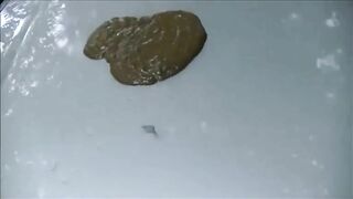 Brunette pissing and shitting on a car