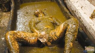 Naked curvy babe playing in the cowshit