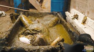 Naughty girl playing in manure basin