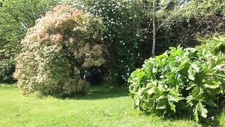 Garden poop from mature lady