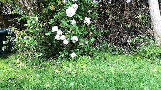 Garden poop from mature lady