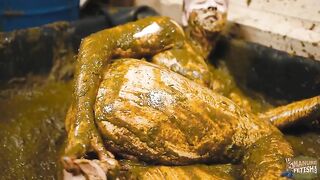 Manure fun with Lyndra Lynn in cowshit