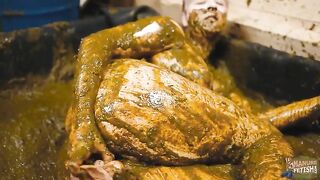 Manure-Health-Cure-with-me-covered-in-cowshit - EroProfile