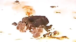 Mature Japanese babe eating messy shit