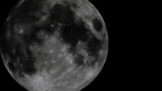 Tattooed babe smearing shit on her lovely face