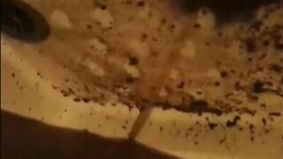 Woman shitting a very liquid diarrhea