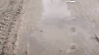 Poop in the sand