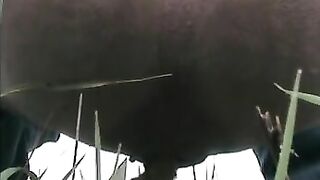 Messy poop in the grass