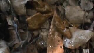 Sweet Japanese girl wiping her ass while shitting in nature