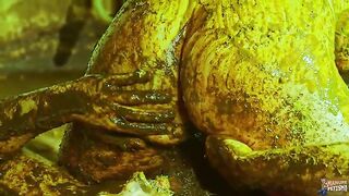 Cowshit adventure with sexy Betty and horny Franky