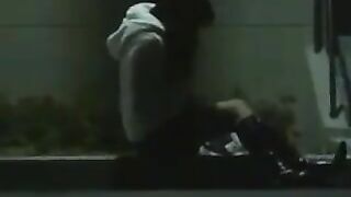 Drunk girl shitting at the stairs