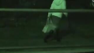 Drunk girl shitting at the stairs